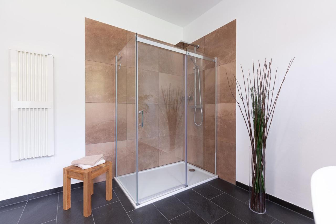 Moselallee 5 Sterne Appartement Moselkern